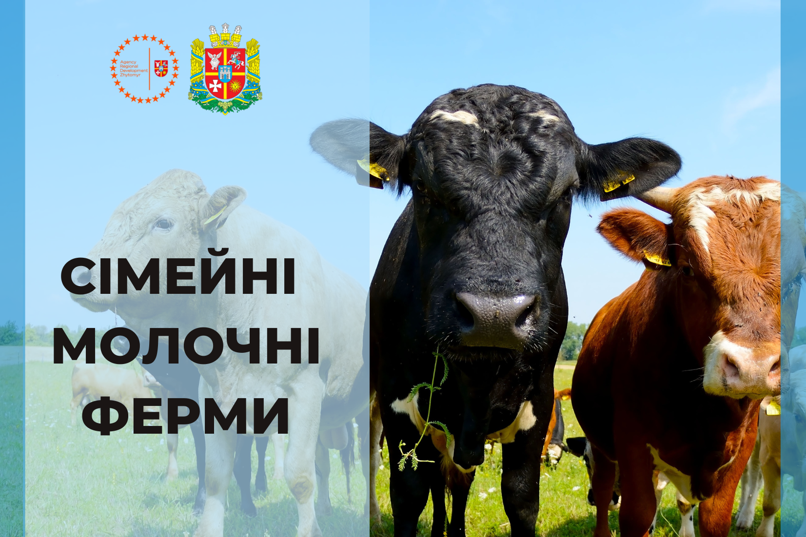 проєкт сімейних ферм!
