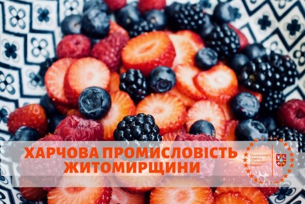 Report on the activities of the “Regional Development Agency of the Zhytomyr Region” institution for 2020